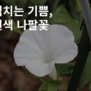 오늘도기쁨14