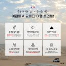 ㈜제우스 | 요르단 여행후기 - 중동 최대의 고대 로마제국 유적지, 제라쉬 방문