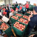 청과물처리장 이미지