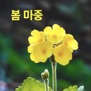 수연농장 네이버블로그