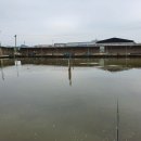 함박골낚시터 | 함박골낚시터 찌좀 그만 올려!!!!