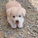 마들역(7호선) 이미지