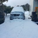 별이네 농장 이미지