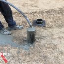 성보펫케어(주) 이미지