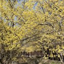 대음여성경로당 이미지