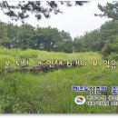 하예동-8 이미지