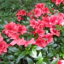 서당공원 화장실 이미지