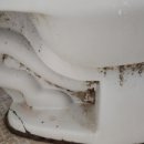 신철원전통시장 이미지