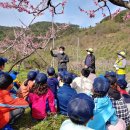 월등초등학교 이미지