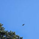 아양사랑숲 이미지