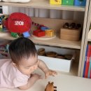 달팽이숲 | 숲소리 달팽이자동차 내돈내산 추천후기