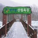 사소동