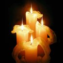 도신체육관 이미지