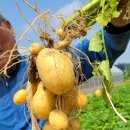 억만농장 이미지