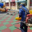 칠금초교 병설유치원 이미지