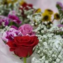 화성 함백산추모공원(장례식장) 이미지