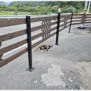 느린오후 이미지