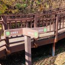 수현목장 이미지