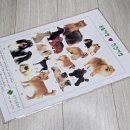 아이사랑동물병원 이미지