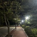 쭈빠삐무녜뇨 이미지