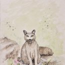 살구나무집민박 이미지