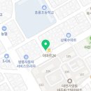 젤빠른물방개