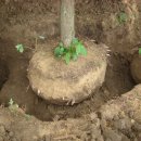 중우농장 이미지