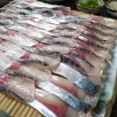 만선바다