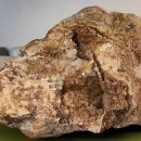 수정-123 이미지