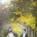 남구-011 이미지