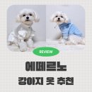 말티즈하우스 | 강아지 옷 쇼핑몰 추천 에떼르노 말티즈 후기
