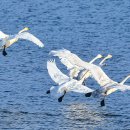 귀거래사 이미지