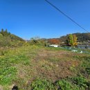 서면파출소 이미지