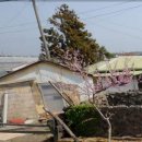 이석호공인중개사사무소 이미지