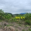 연선목장 네이버블로그