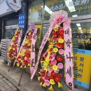 아리랑행정사합동사무소 이미지