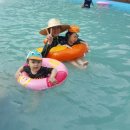 스파고기 이미지