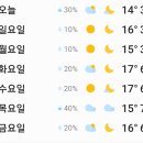 2023/3/4/토/맑음/10도/낮12시/서울/ 주간 예보 이미지