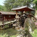 송이펜션민박 이미지