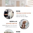 온니애견미용 이미지
