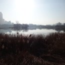 수원팔색길 효행길 이미지