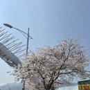 사랑어린이집 | 어린이집 인형극 후기 사랑해 피노키오 관람 특별활동 17개월 아기의 이야기극장