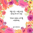 아로마파티