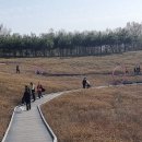 철쭉동산 이미지