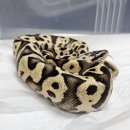 한강유역환경청 화장실 이미지