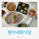 황보식당 | [속초 조양동] ‘원이네회식당’ 속초횟집, 조양동맛집 회포장 후기 + 물회 서비스