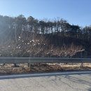 라파엘메디케어 이미지