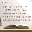 자연-문명-인간 이미지
