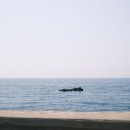 오징어천국 이미지