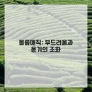 헤어공간 네이버블로그